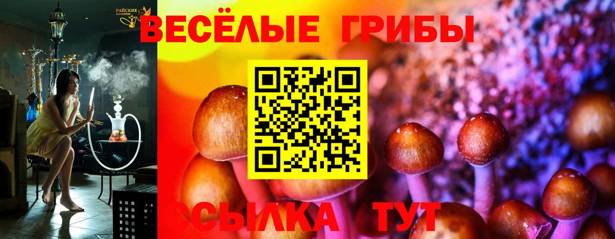 Галлюциногенные грибы прущие грибы Сунжа