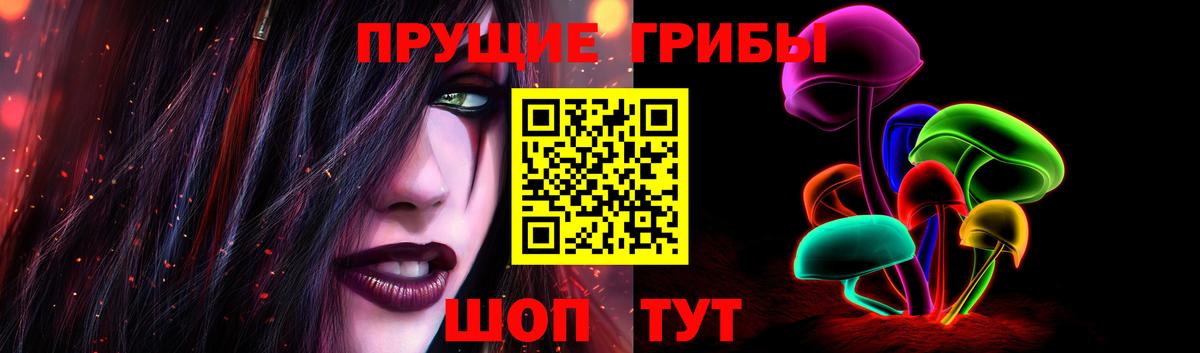 Сунжа  купить  сайты  Галлюциногенные грибы MAGIC MUSHROOMS  Вход с VPN  Псилоцибиновые грибы MAGIC MUSHROOMS 
